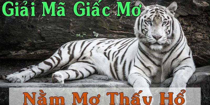 Những yếu tố liên quan đến giấc mơ thấy hổ