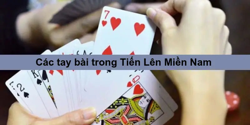 Bí Kíp Chơi Tiến Lên Miền Nam