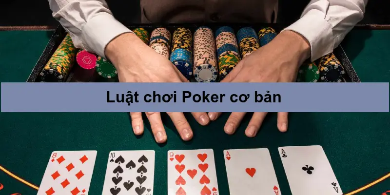 Luật chơi Poker cơ bản dành cho người mới bắt đầu